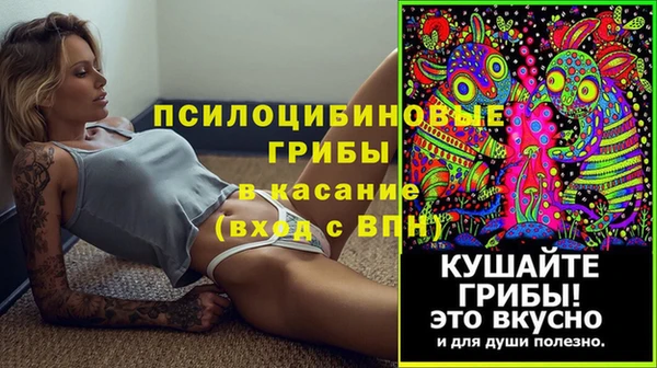 МДПВ Белокуриха